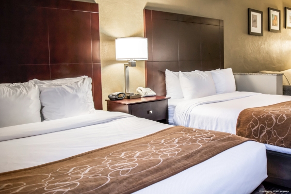 Hotel Comfort Suites Clearwater - Dunedin